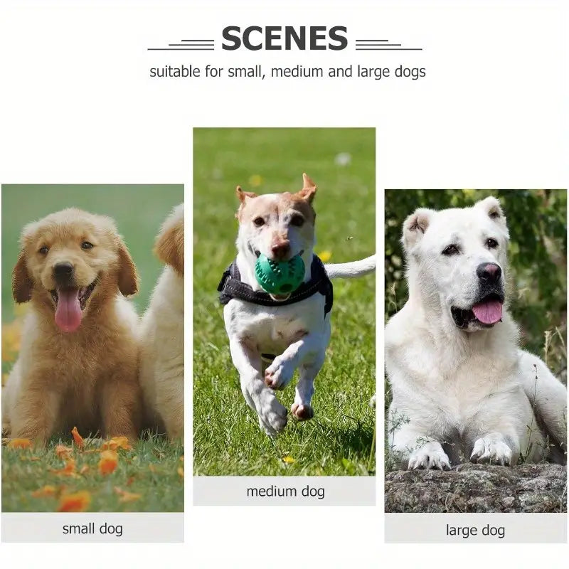 Anhänger individuell für Tier und Mensch